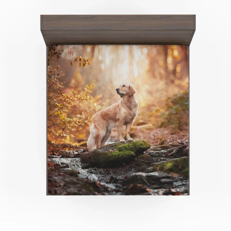 Quadruple Canine Charm: Golden Retrievers Fitted Sheet