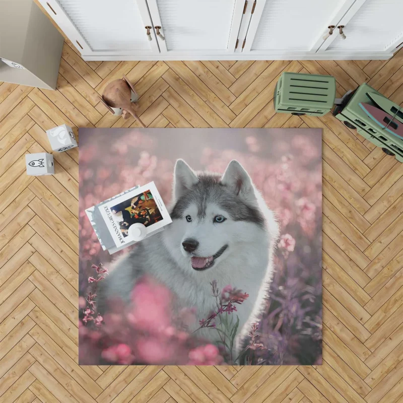 Quadruple Canine Charm: Husky Field Flowers Floor Rug