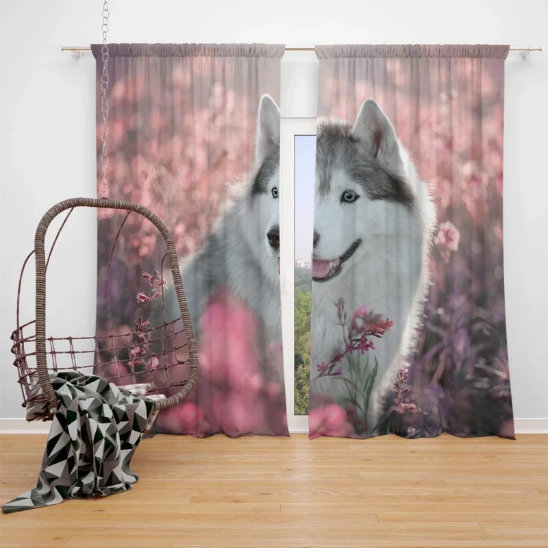 Quadruple Canine Charm: Husky Field Flowers Window Curtain