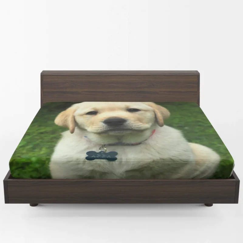 Quadruple Canine Delight: Golden Retrievers Fitted Sheet 1