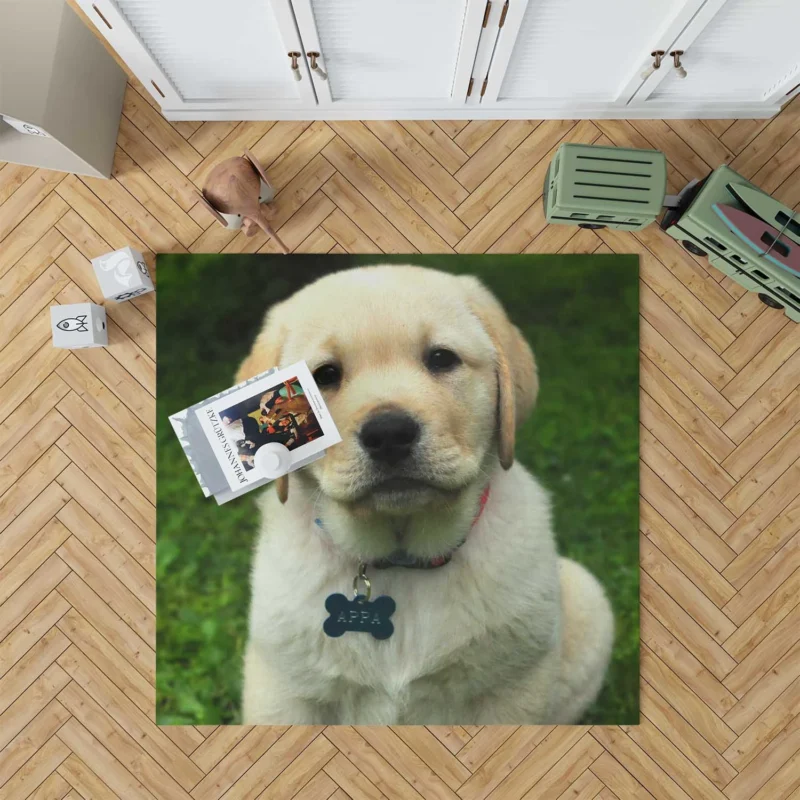 Quadruple Canine Delight: Golden Retrievers Floor Rug