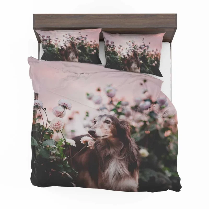 Quadruple Canine Elegance: Greyhound Poses Bedding Set 1