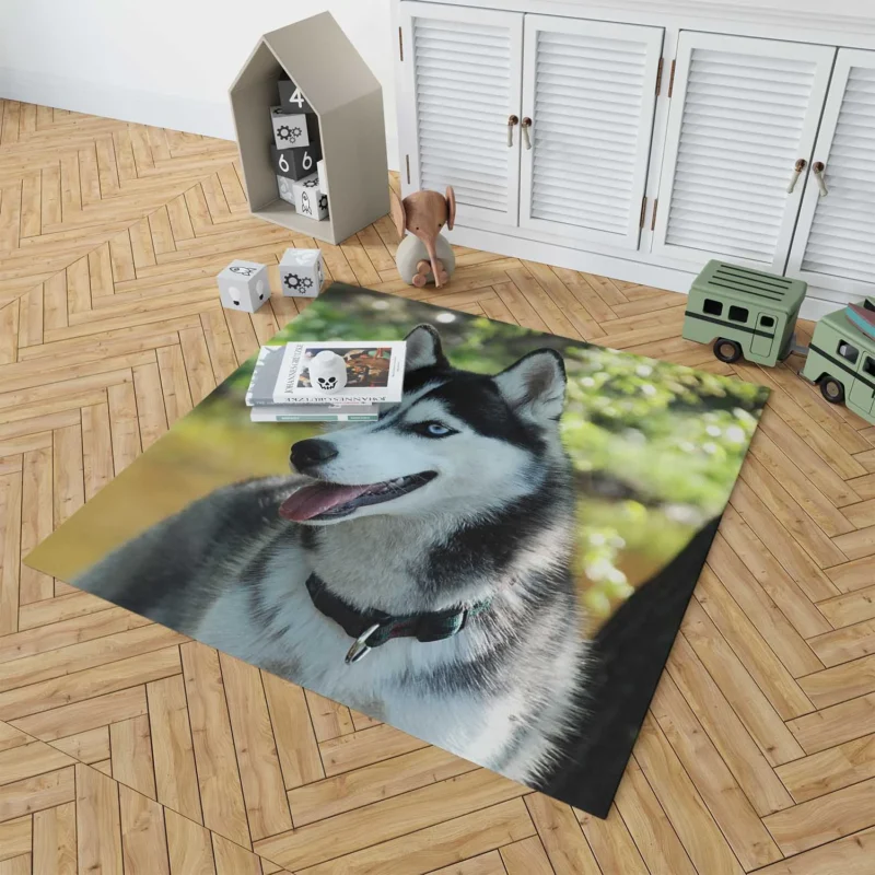 Quadruple Canine Elegance: Husky Beauty Floor Rug 1