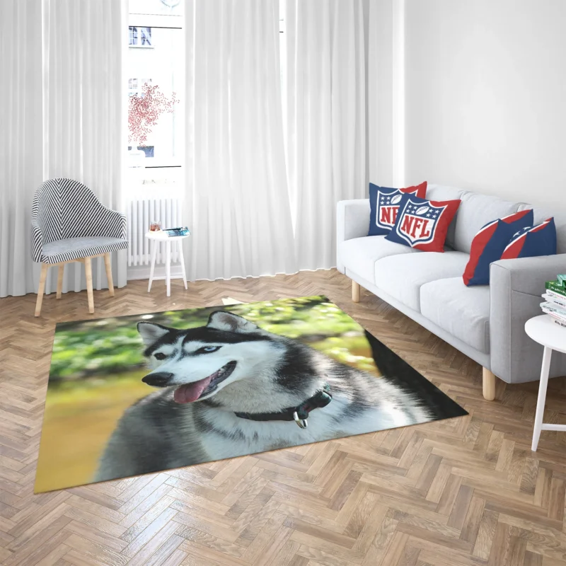 Quadruple Canine Elegance: Husky Beauty Floor Rug 2