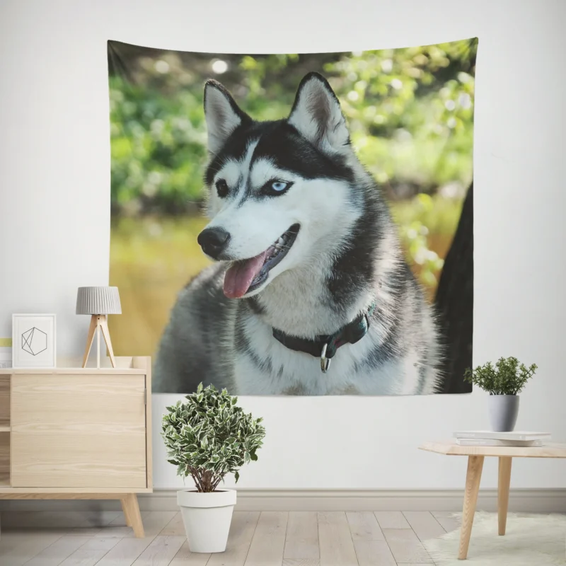 Quadruple Canine Elegance  Husky Beauty Wall Tapestry