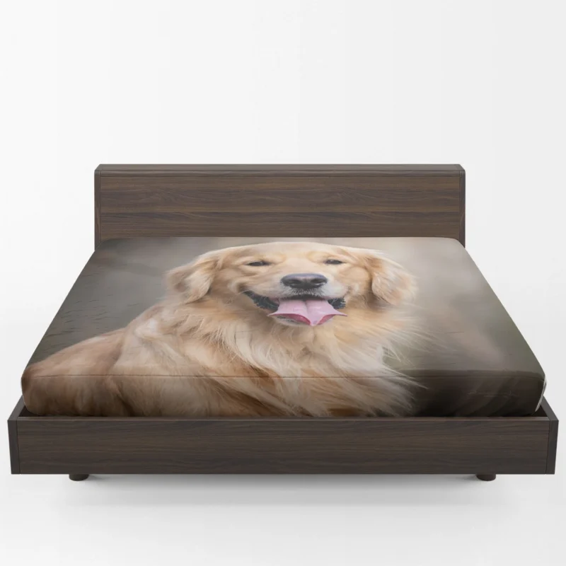 Quadruple Canine Grace: Golden Retrievers Fitted Sheet 1