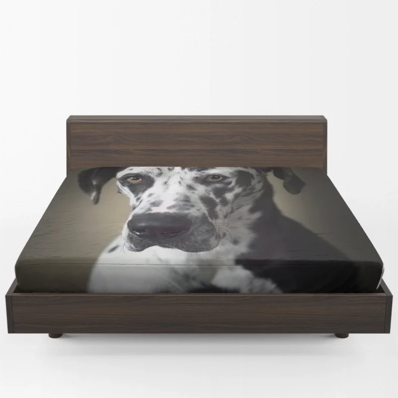 Quadruple Canine Portraits: Great Dane Muzzles Fitted Sheet 1