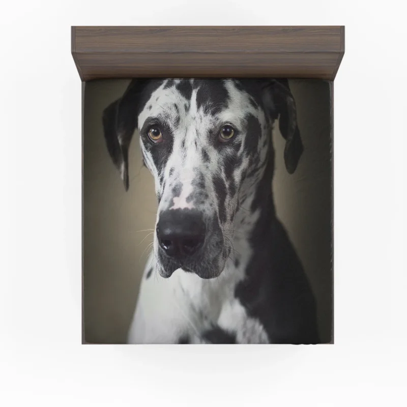 Quadruple Canine Portraits: Great Dane Muzzles Fitted Sheet