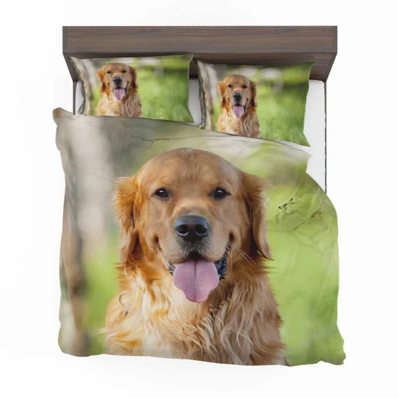 Quadruple Cuteness: Golden Retrievers Bedding Set 1