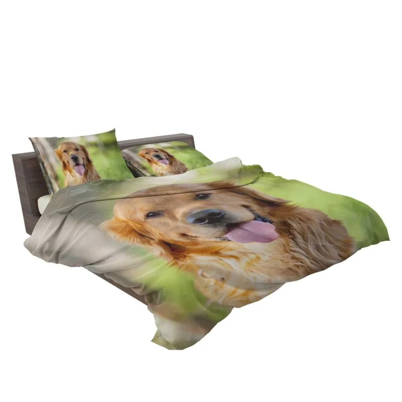 Quadruple Cuteness: Golden Retrievers Bedding Set 2