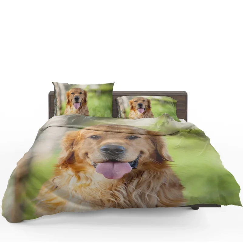 Quadruple Cuteness: Golden Retrievers Bedding Set