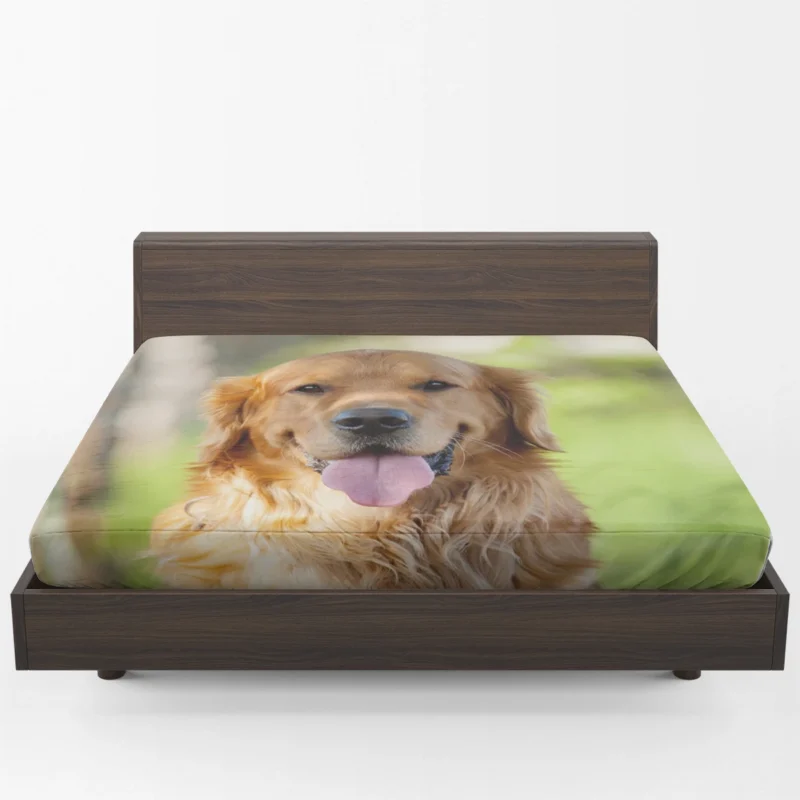 Quadruple Cuteness: Golden Retrievers Fitted Sheet 1