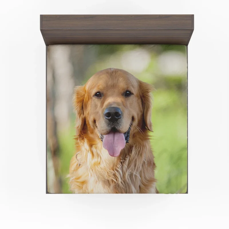 Quadruple Cuteness: Golden Retrievers Fitted Sheet