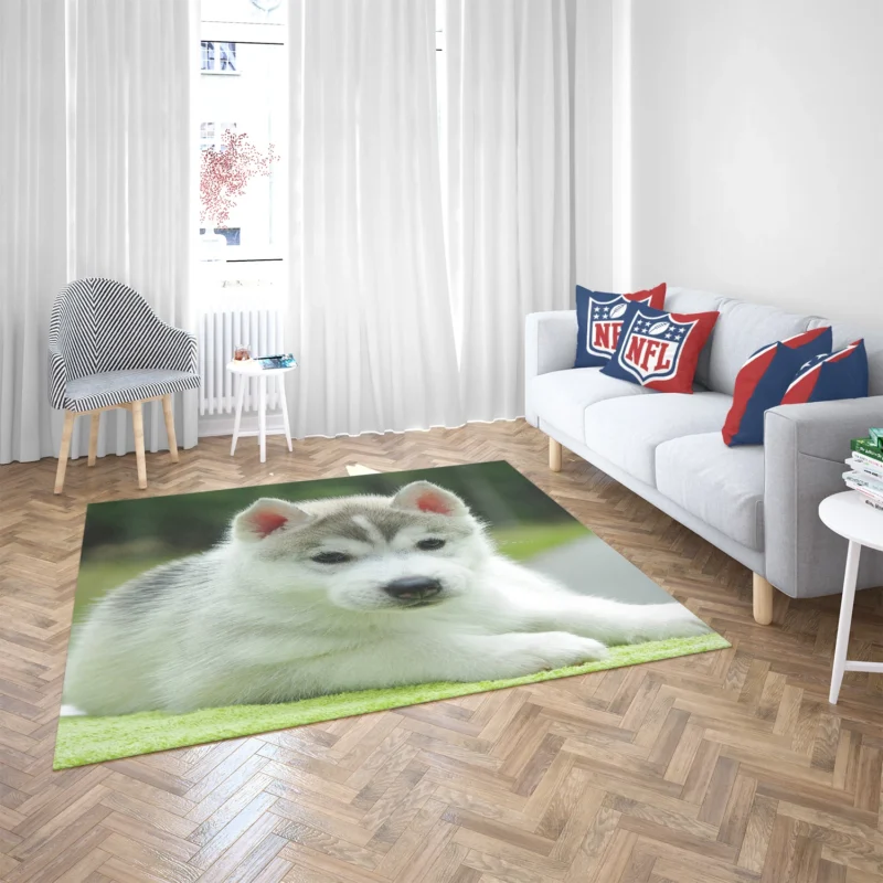 Quadruple Cuteness Overload: Husky Puppies Floor Rug 2