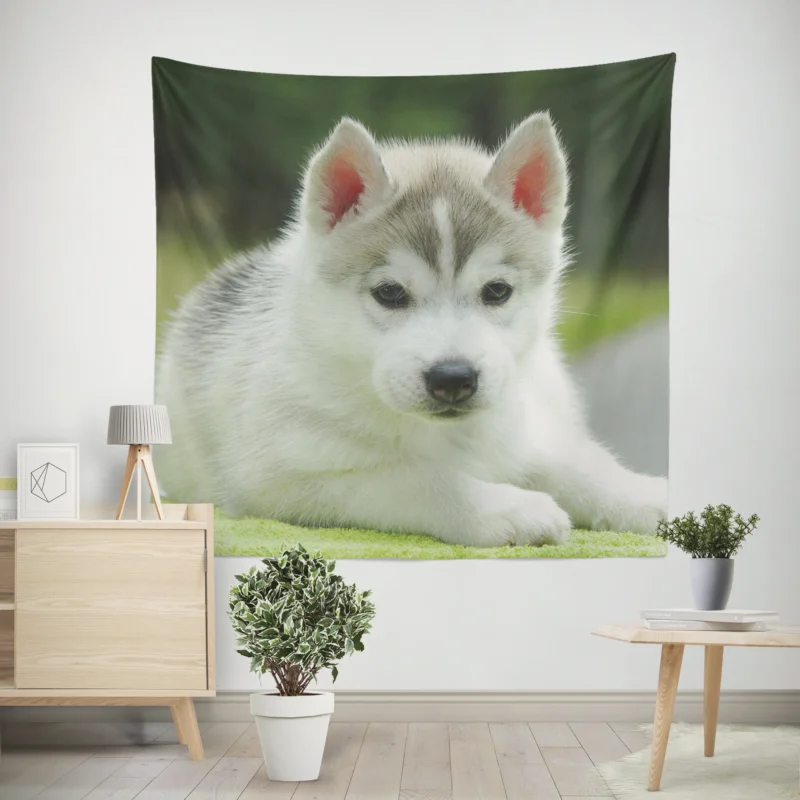 Quadruple Cuteness Overload  Husky Puppies Wall Tapestry