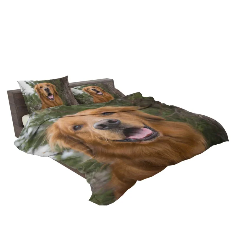 Quadruple Golden Companions: Golden Retrievers Bedding Set 2