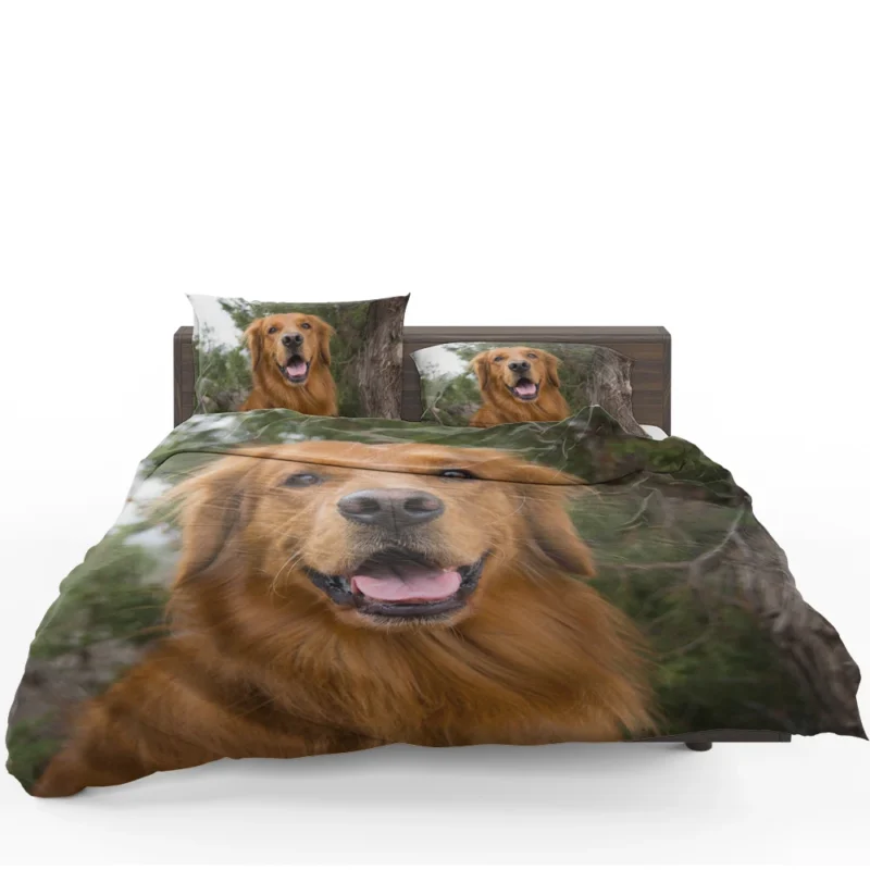 Quadruple Golden Companions: Golden Retrievers Bedding Set