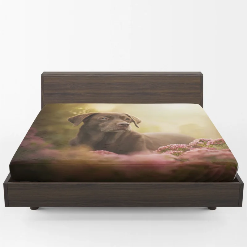 Quartet Charm: Chocolate Labrador in Pink Flowers Fitted Sheet 1