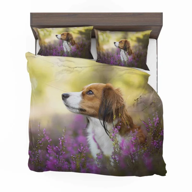 Quartet: Kooikerhondje Bokeh with Purple Flowers Bedding Set 1