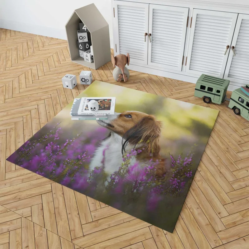 Quartet: Kooikerhondje Bokeh with Purple Flowers Floor Rug 1