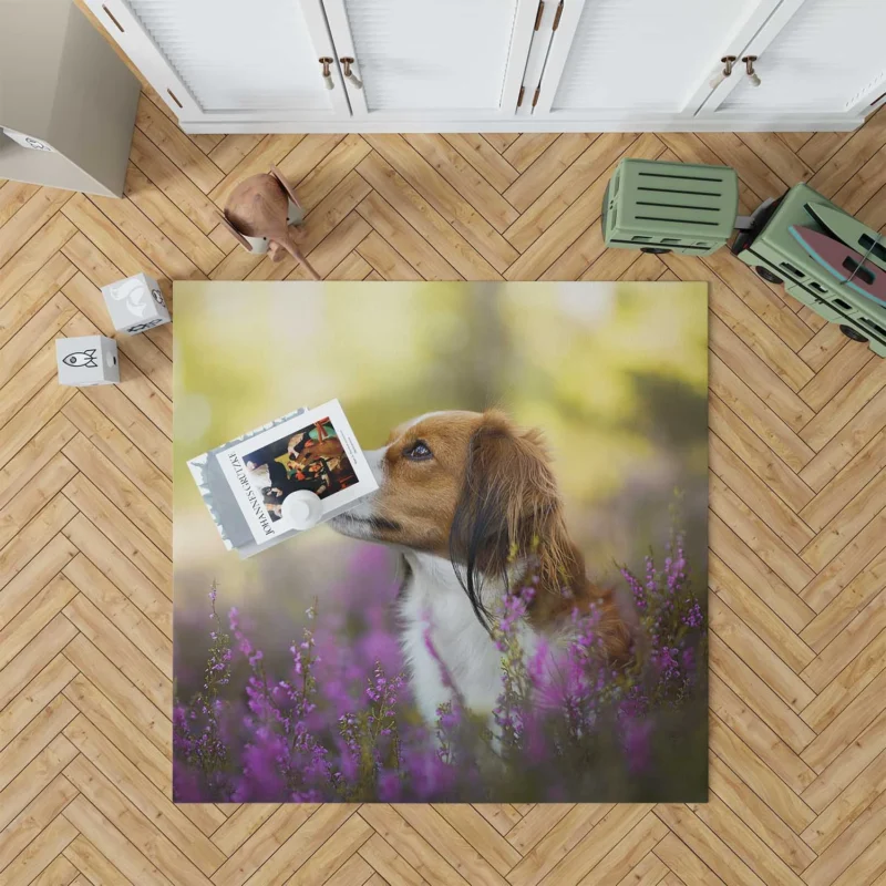 Quartet: Kooikerhondje Bokeh with Purple Flowers Floor Rug