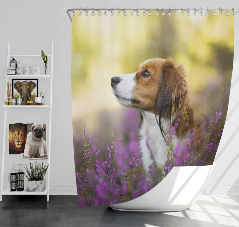 Quartet: Kooikerhondje Bokeh with Purple Flowers Shower Curtain