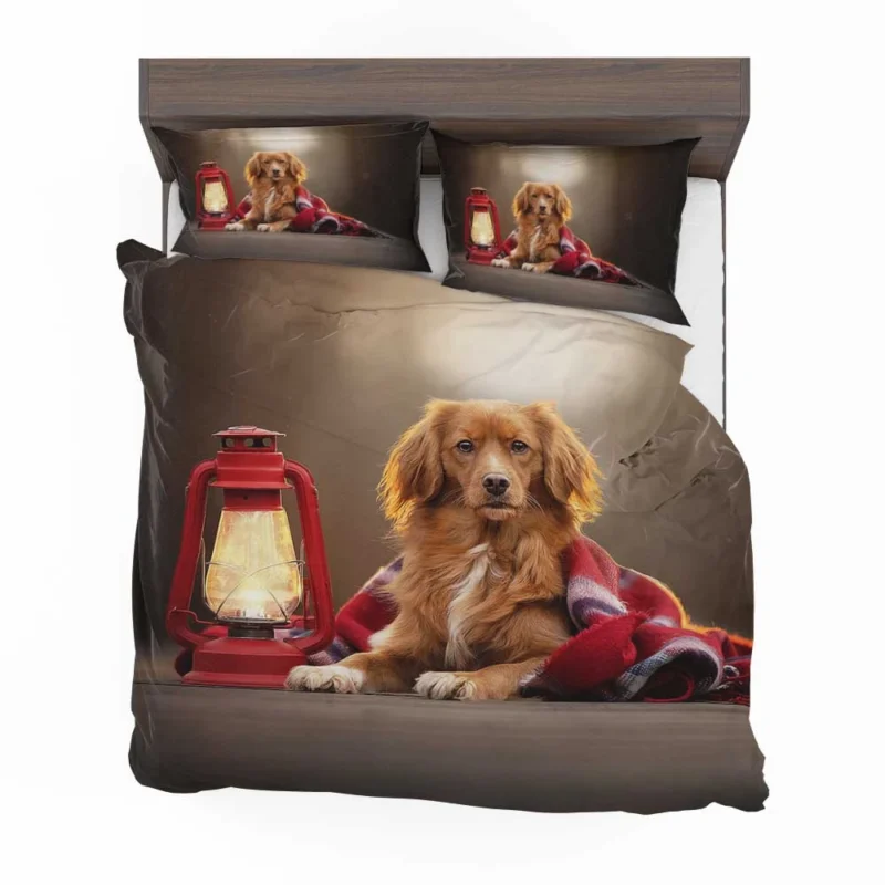 Quartet by Lantern: Nova Scotia Duck Tolling Retriever Bedding Set 1