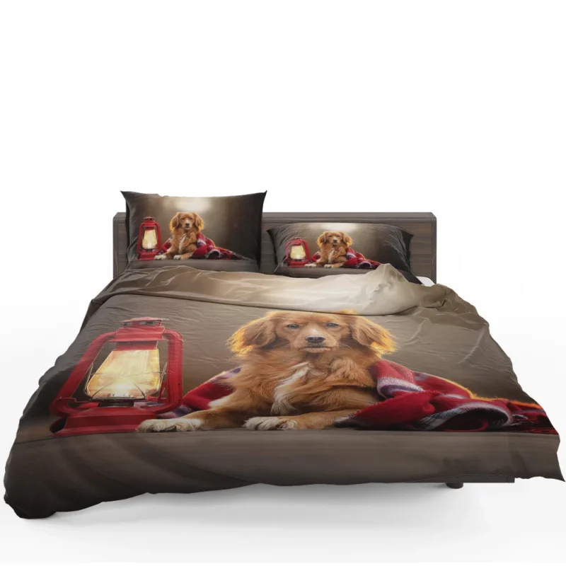 Quartet by Lantern: Nova Scotia Duck Tolling Retriever Bedding Set