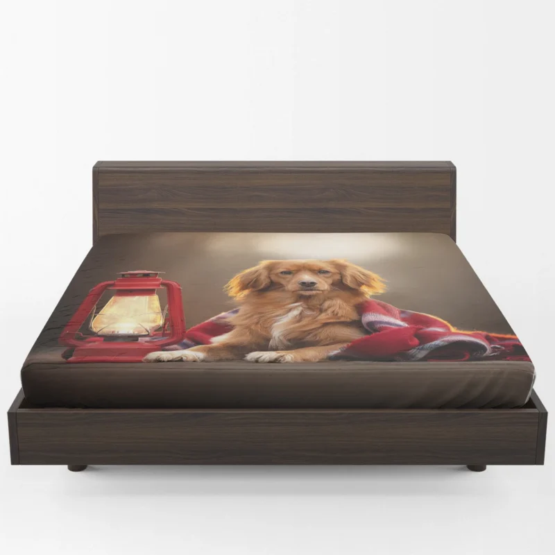 Quartet by Lantern: Nova Scotia Duck Tolling Retriever Fitted Sheet 1