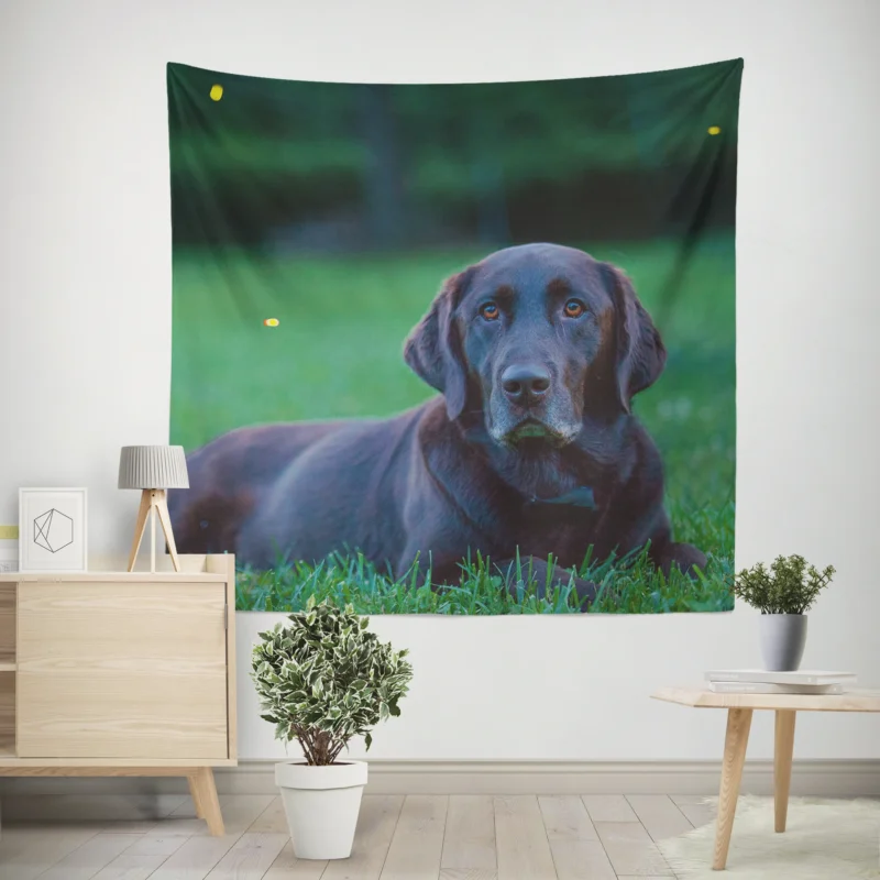 Quartet of Beauty  Labrador Depth of Field Wall Tapestry