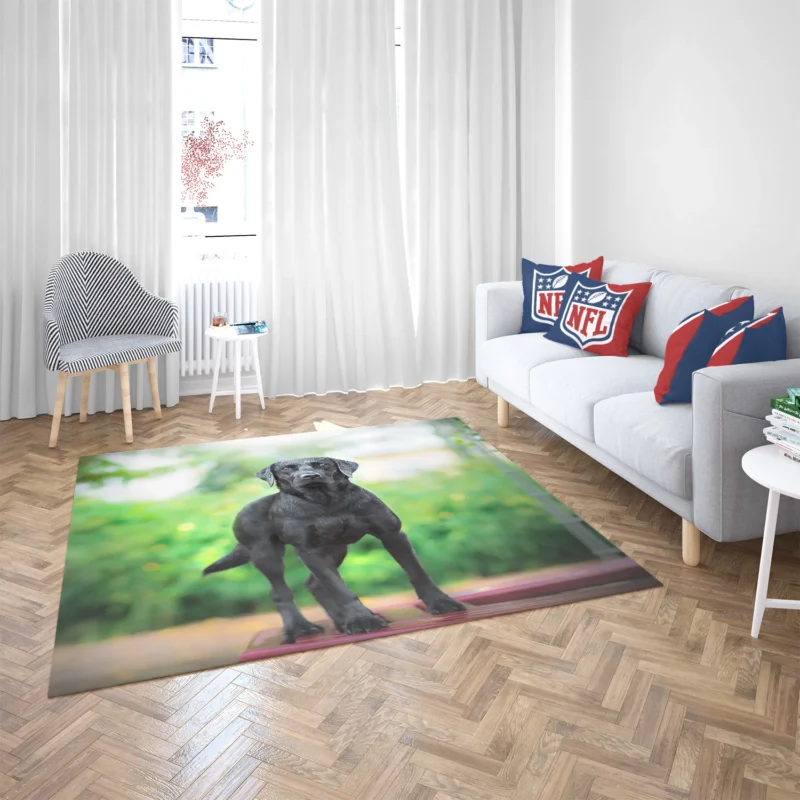 Quartet of Canines: Labrador Stares in Depth Floor Rug 2