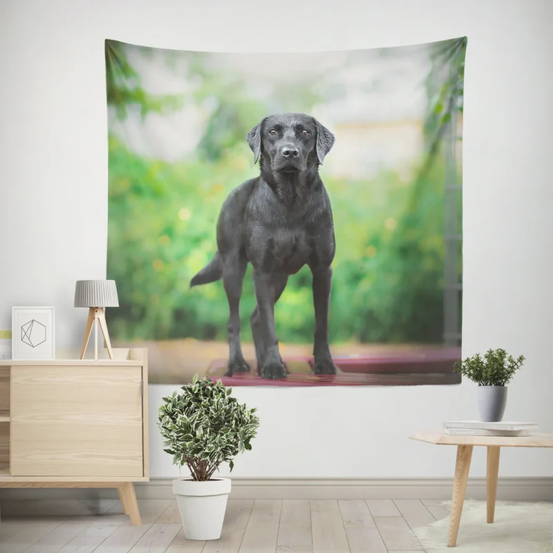 Quartet of Canines  Labrador Stares in Depth Wall Tapestry