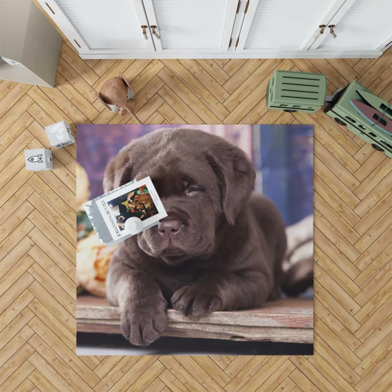 Quartet of Cuteness: Labrador Puppies Floor Rug