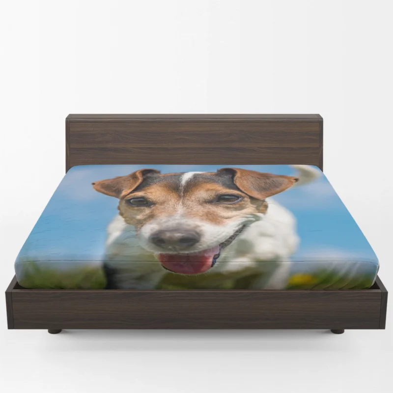 Quartet of Energetic Companions: Jack Russell Terriers Fitted Sheet 1