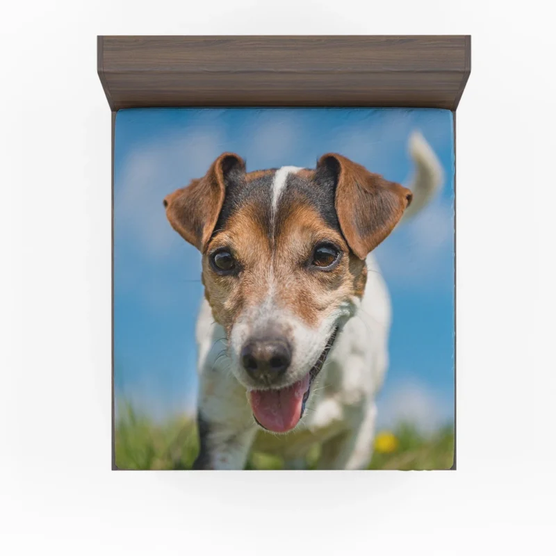 Quartet of Energetic Companions: Jack Russell Terriers Fitted Sheet