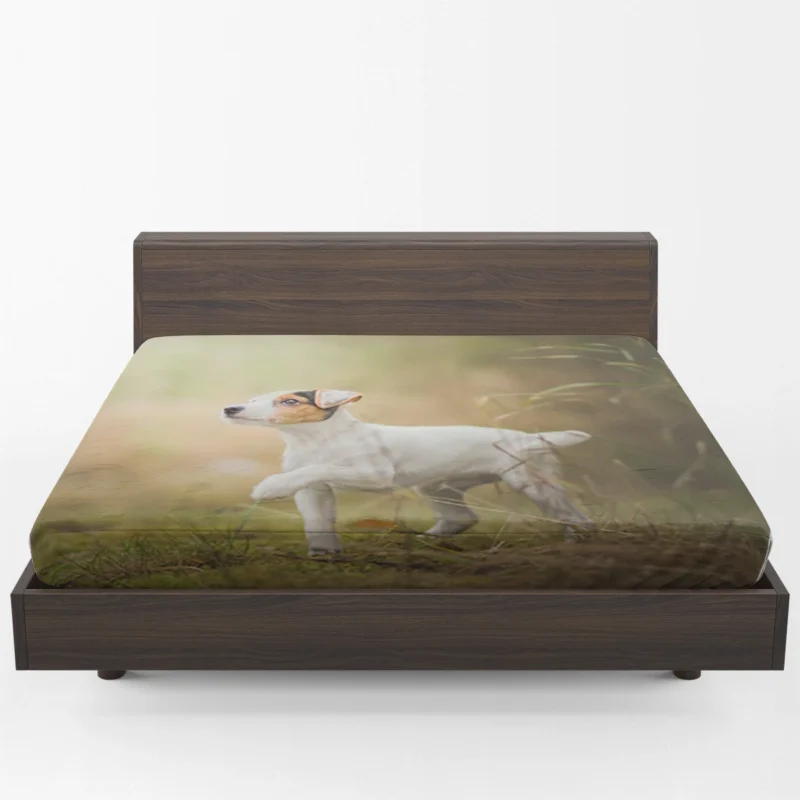 Quartet of Energetic Puppies: Jack Russell Terriers Fitted Sheet 1