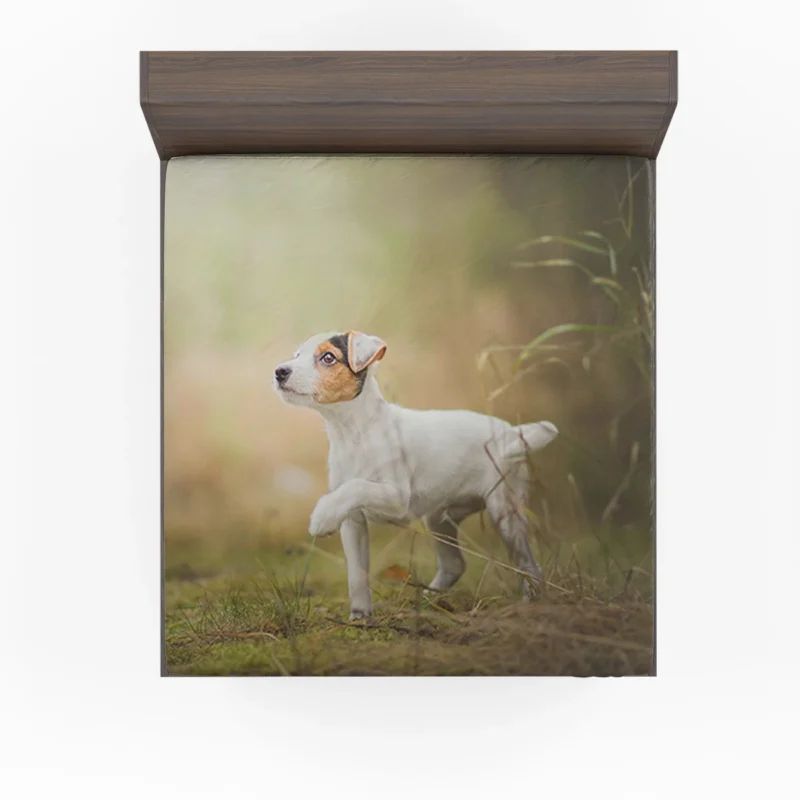 Quartet of Energetic Puppies: Jack Russell Terriers Fitted Sheet