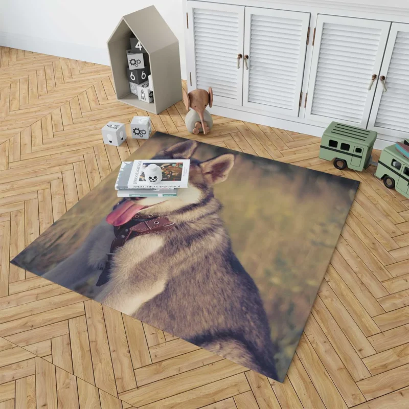 Quartet of Playful Canines: Husky Adventure Floor Rug 1