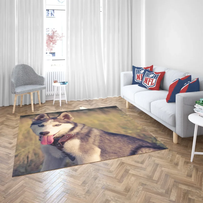 Quartet of Playful Canines: Husky Adventure Floor Rug 2