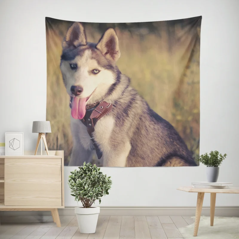 Quartet of Playful Canines  Husky Adventure Wall Tapestry