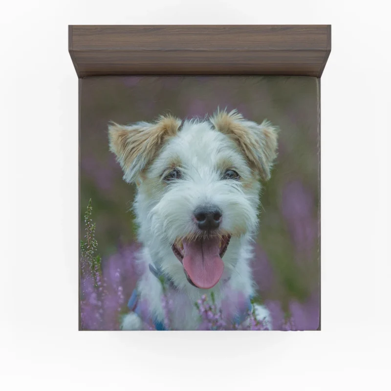 Quartet of Playful Companions: Jack Russell Terriers Fitted Sheet