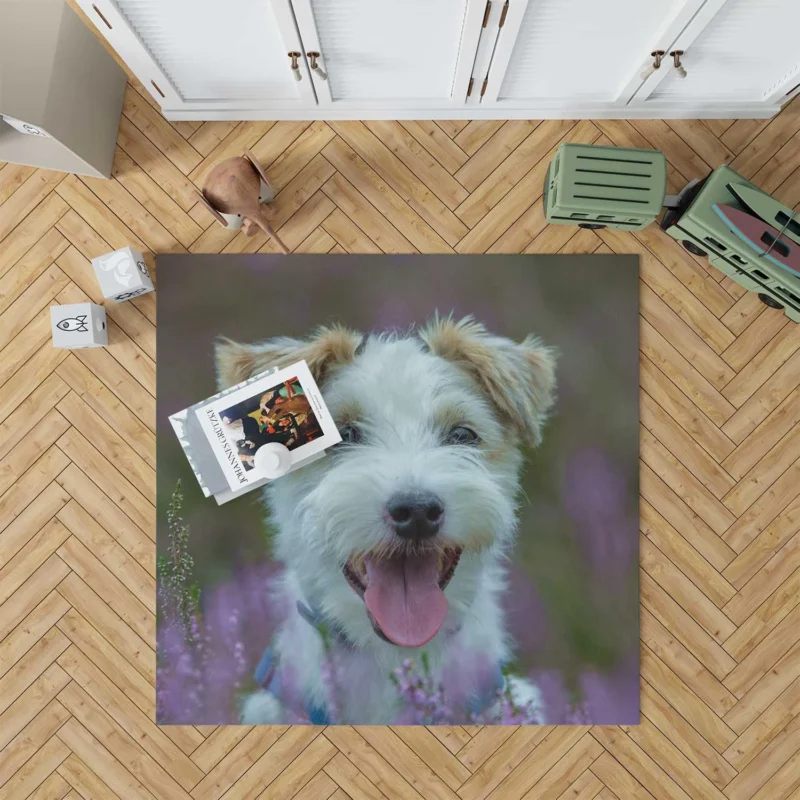 Quartet of Playful Companions: Jack Russell Terriers Floor Rug