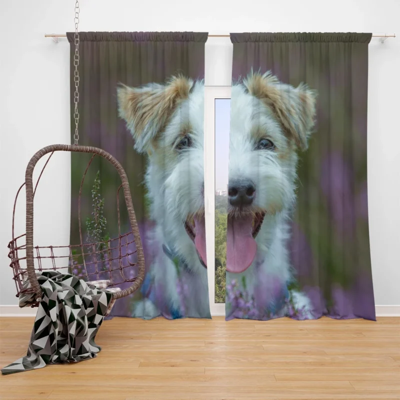 Quartet of Playful Companions: Jack Russell Terriers Window Curtain