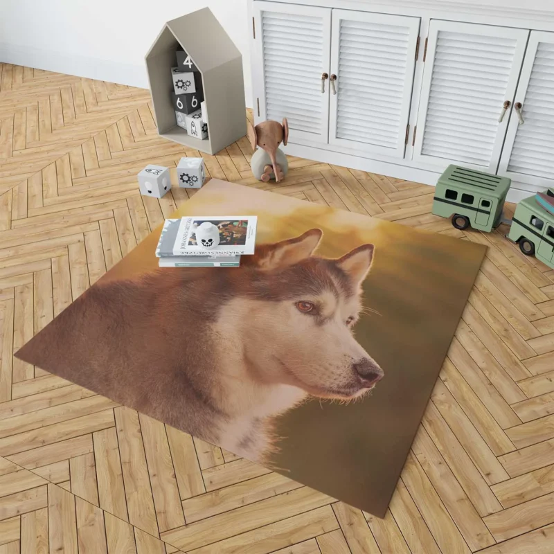 Quartet of Radiant Dogs: Husky Sunbeam Muzzles Floor Rug 1