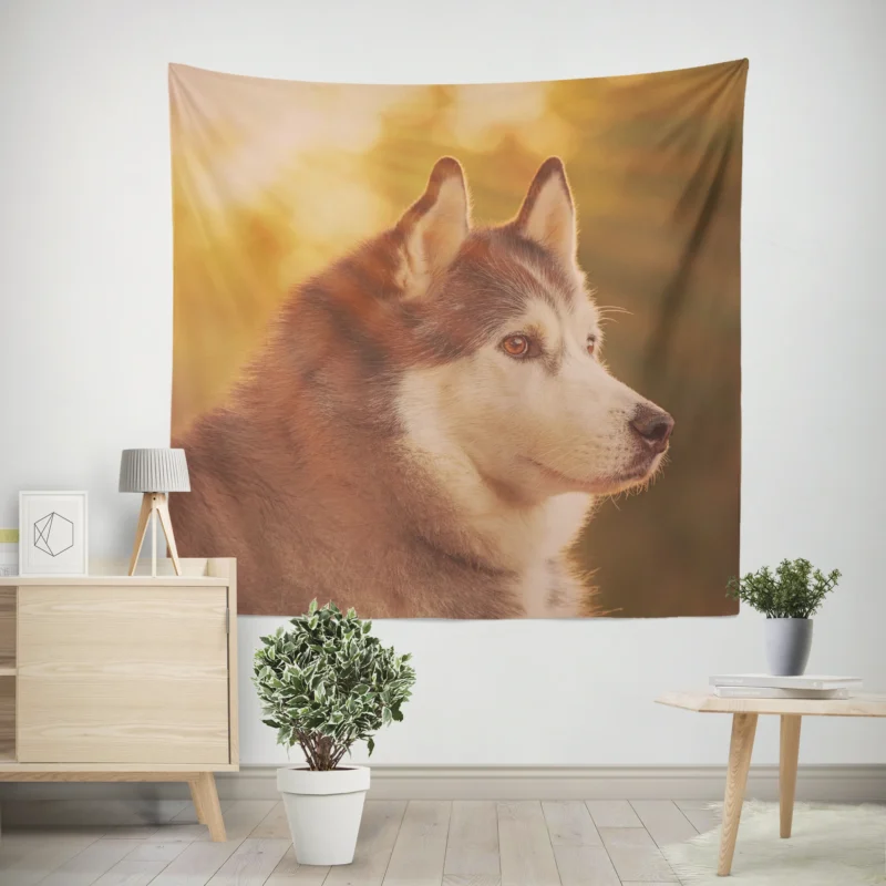 Quartet of Radiant Dogs  Husky Sunbeam Muzzles Wall Tapestry