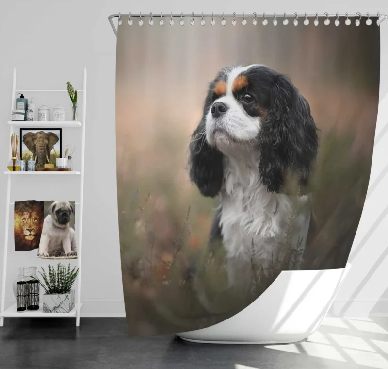 Quartet of Regal Companions: King Charles Spaniels Shower Curtain