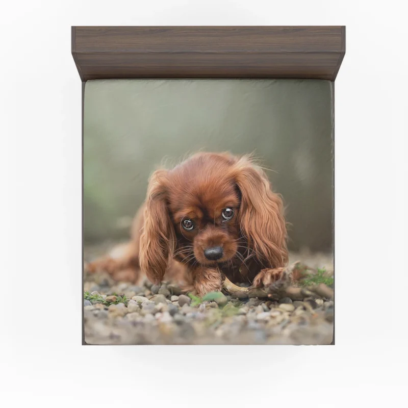 Quartet of Regal Delight: King Charles Spaniels Fitted Sheet