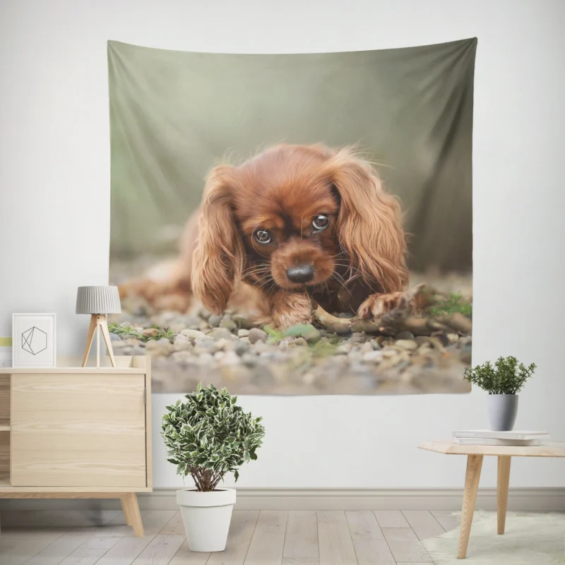 Quartet of Regal Delight  King Charles Spaniels Wall Tapestry