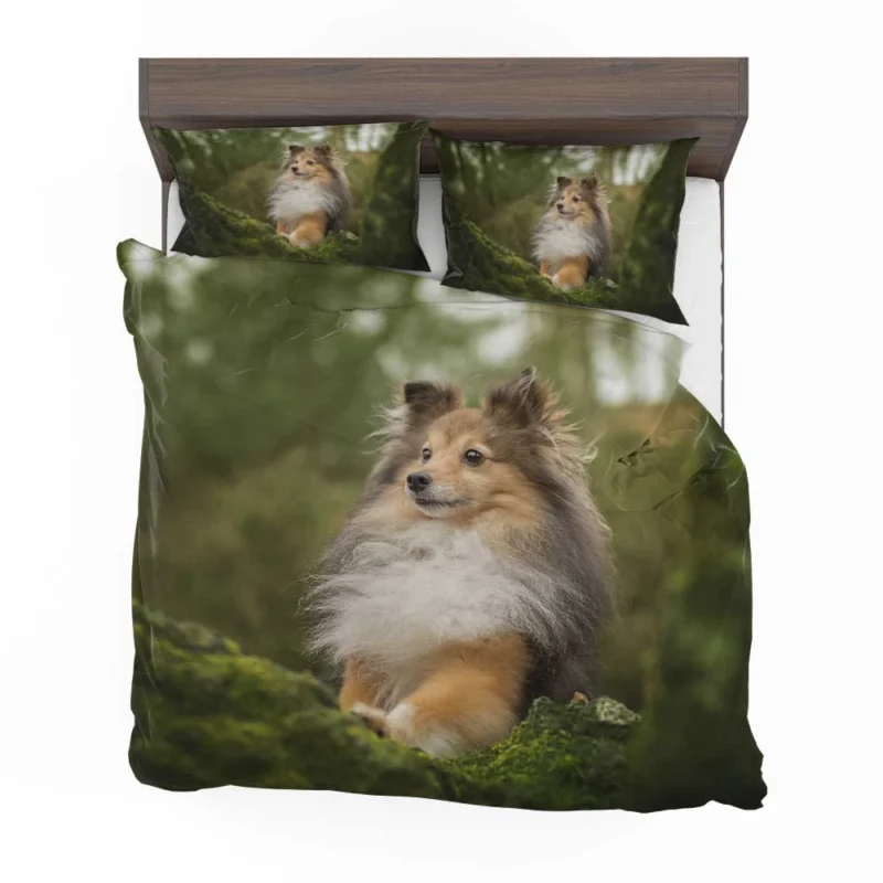 Radiant Shetland Loyal Sheepdog Ensemble: Quartet Bedding Set 1