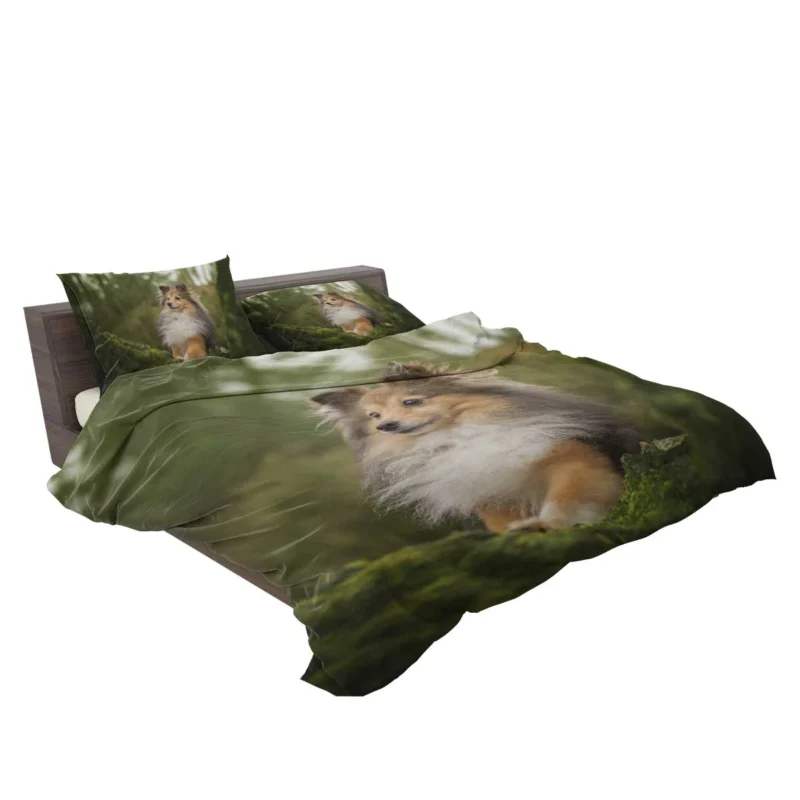 Radiant Shetland Loyal Sheepdog Ensemble: Quartet Bedding Set 2